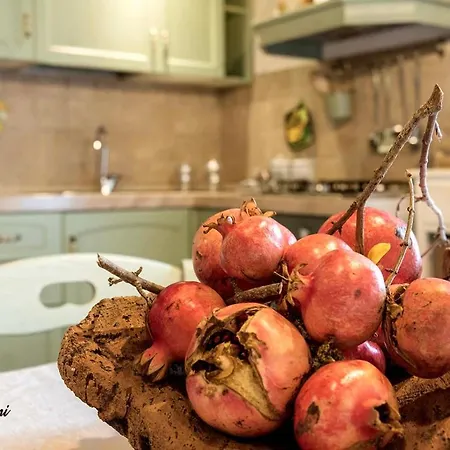 Vakantiehuis A Casa Di Titta Terricciola